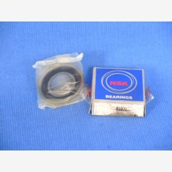 NSK R10VV Bearing, 